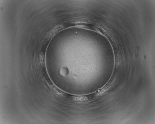 X0000067910281200604131351