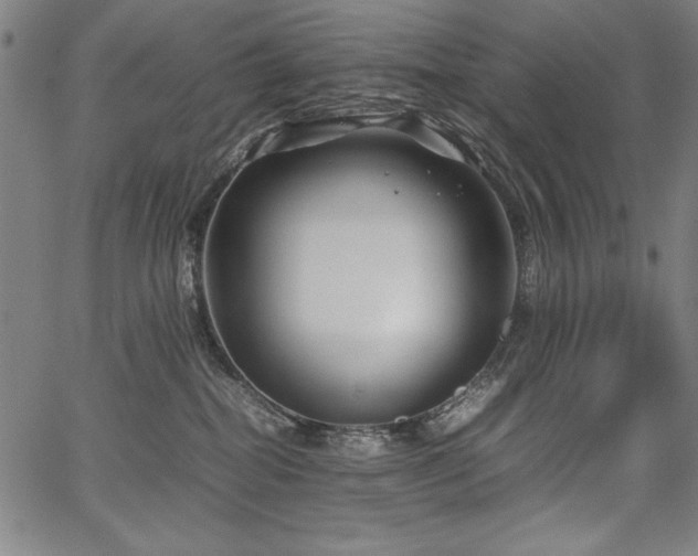 X0000067910282200604131351