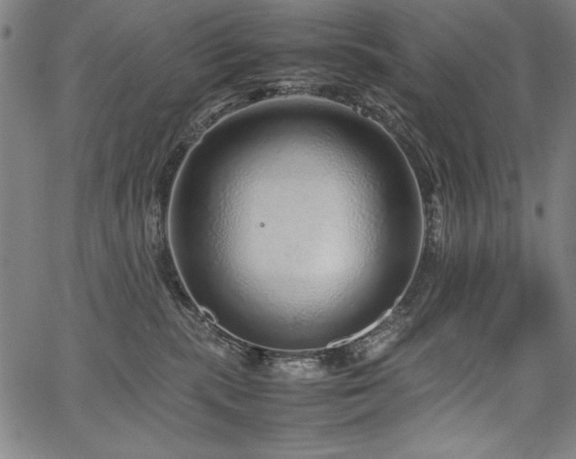 X0000067910283200604131351