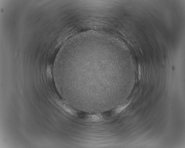 X0000067910286200604131351