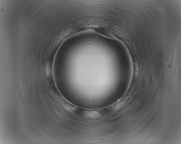 X0000067910287200604131351