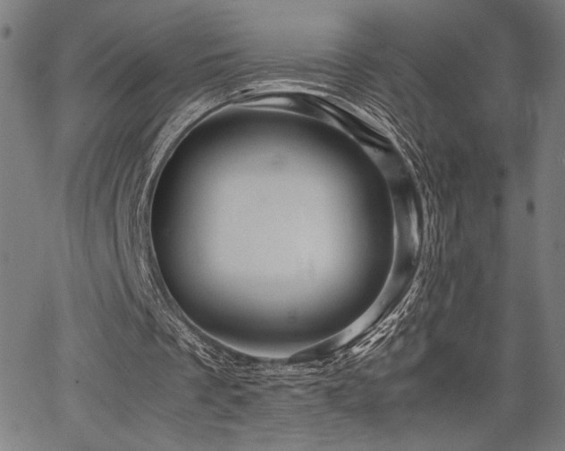 X0000067910289200604131350