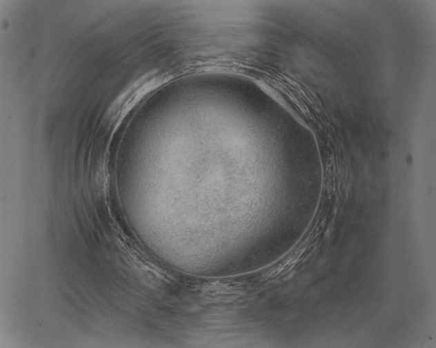 X0000067910290200604131350