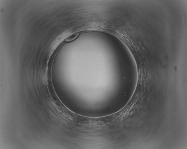 X0000067910292200604131350