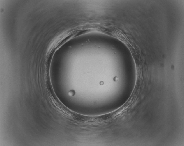 X0000067910293200604131350