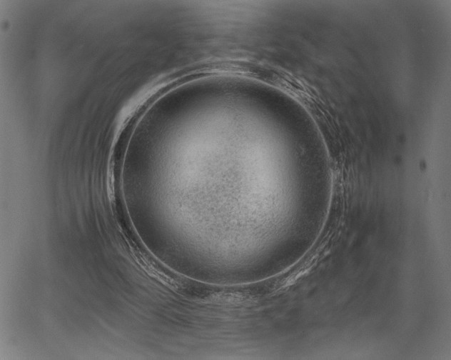 X0000067910294200604131350