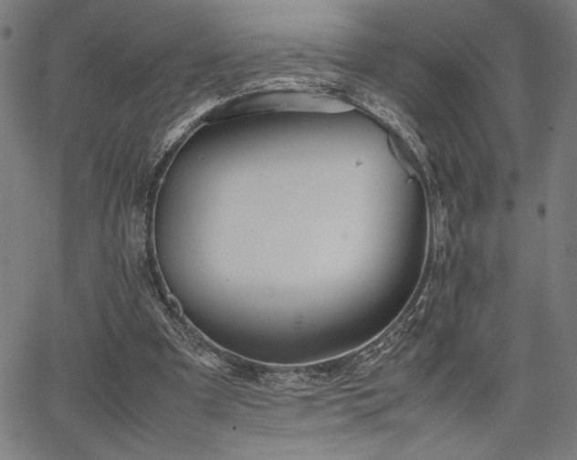 X0000067910297200604131350