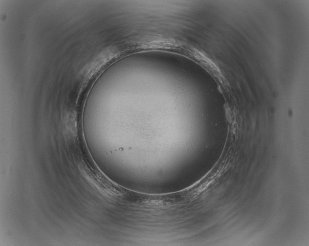 X0000067910298200604131350