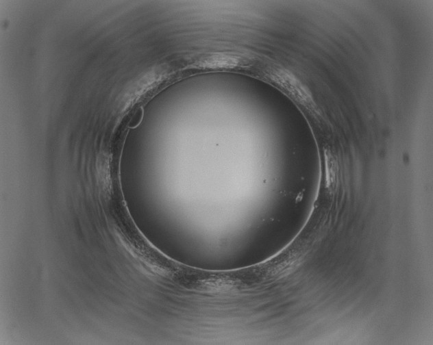 X0000067910300200604131350