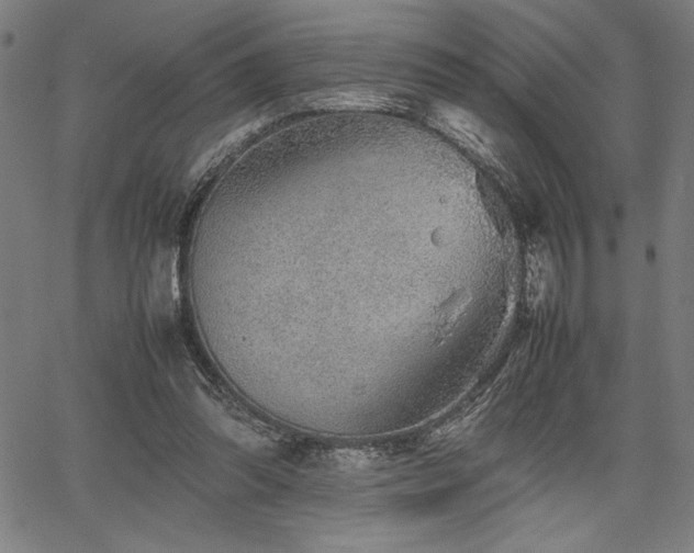 X0000067910302200604131350