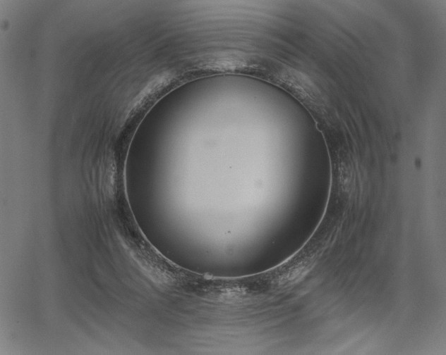 X0000067910304200604131350