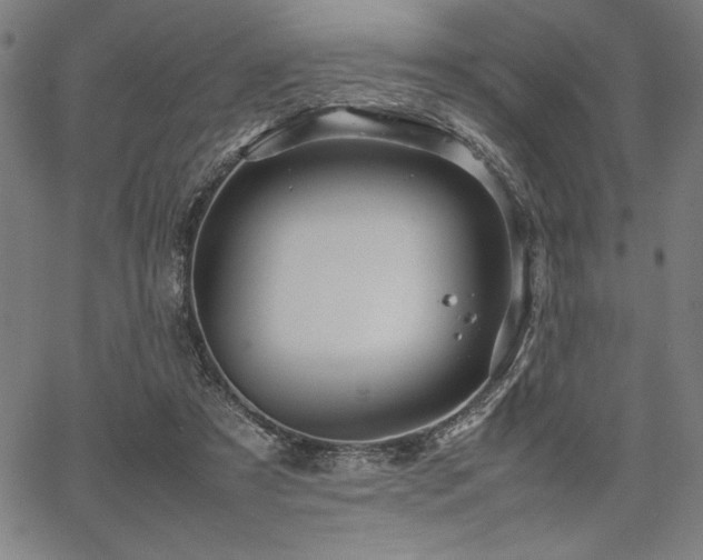 X0000067910305200604131350