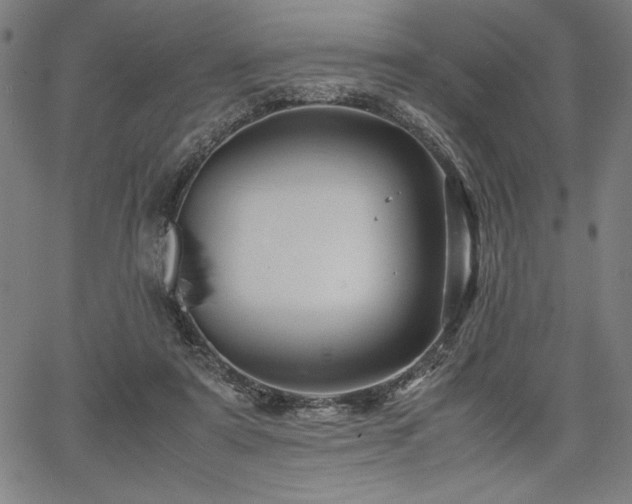 X0000067910307200604131350