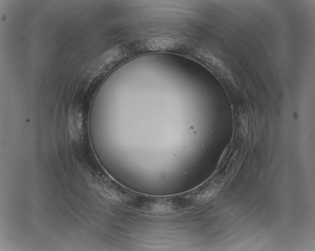 X0000067910308200604131350