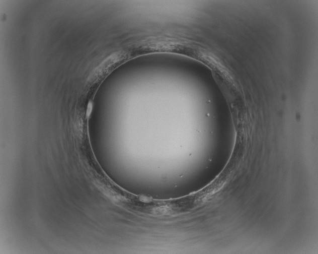 X0000067910309200604131350