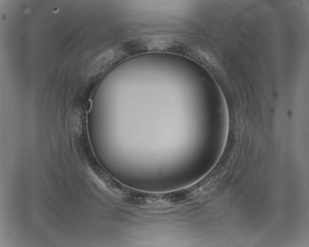 X0000067910311200604131350