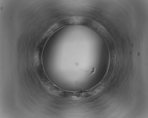 X0000067910312200604131350