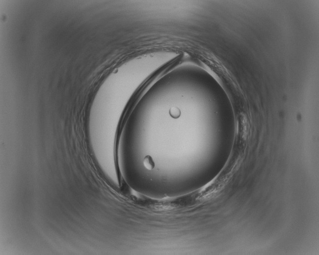 X0000067910313200604131350