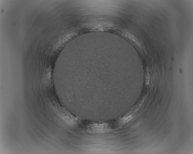 X0000067910314200604131350