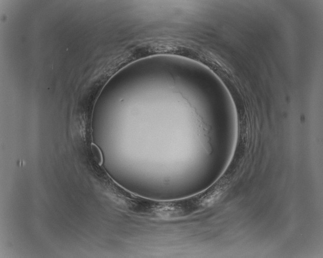 X0000067910315200604131350