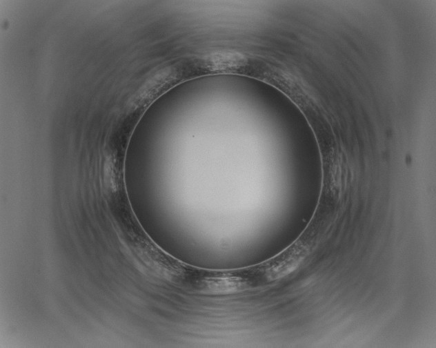 X0000067910316200604131350