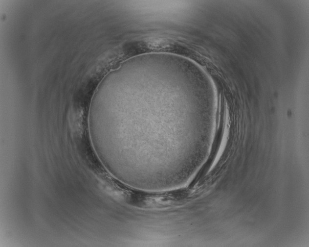 X0000067910319200604131350