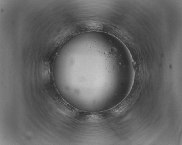 X0000067910320200604131350