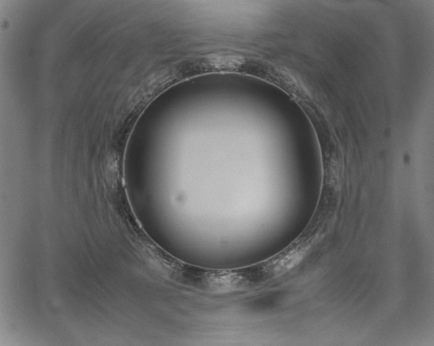 X0000067910321200604131350