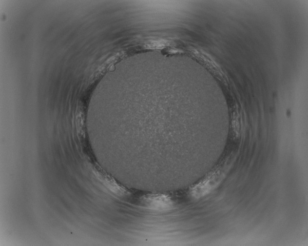 X0000067910322200604131350