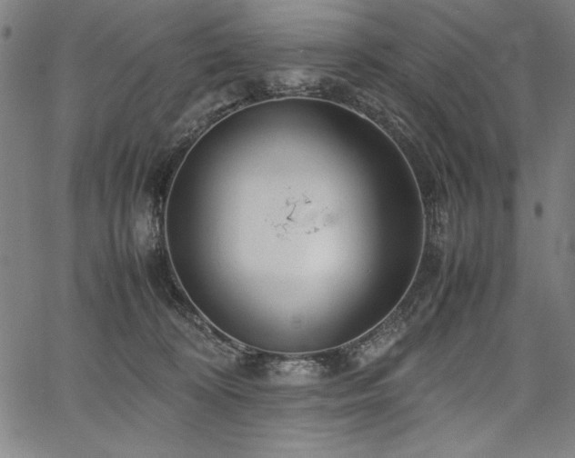 X0000067910324200604131350