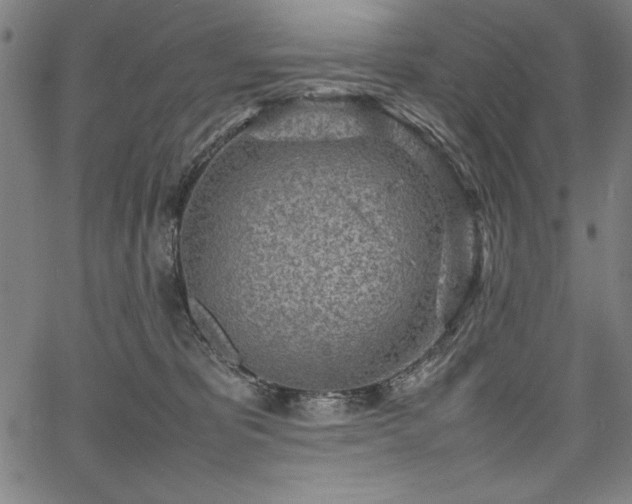 X0000067910325200604131350