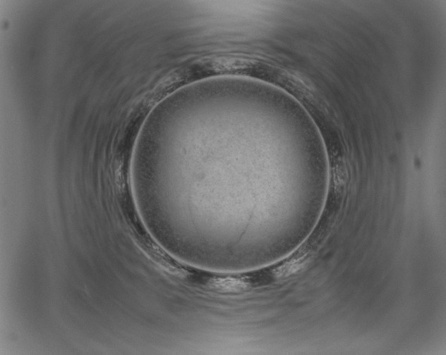 X0000067910327200604131350