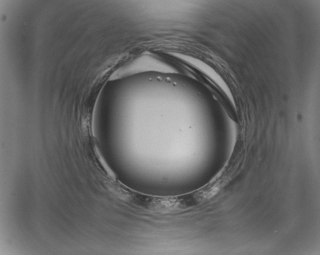 X0000067910329200604131350