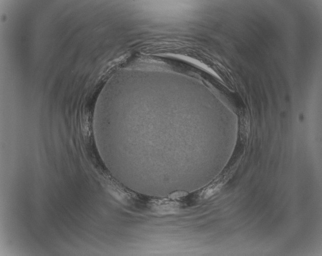 X0000067910331200604131350