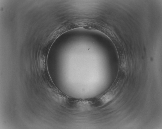 X0000067910332200604131349