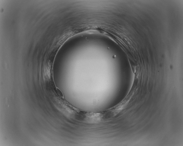 X0000067910334200604131349