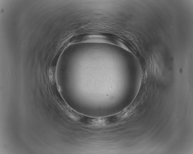 X0000067910335200604131349