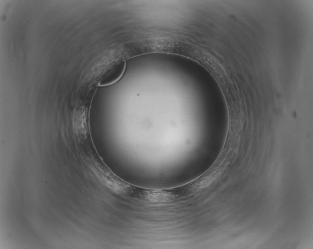 X0000067910336200604131349