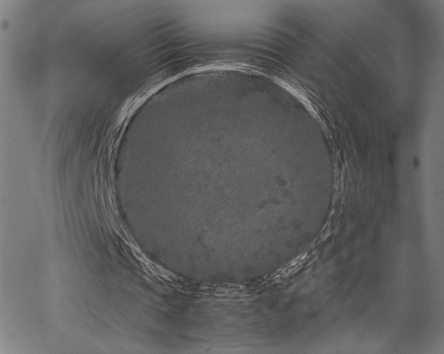 X0000067910337200604131349