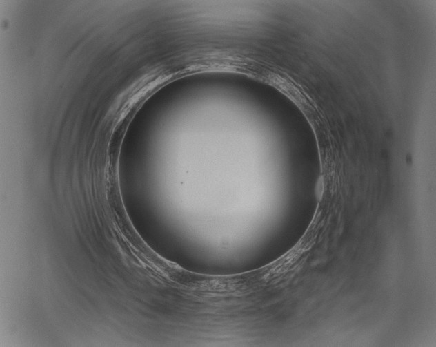 X0000067910338200604131349