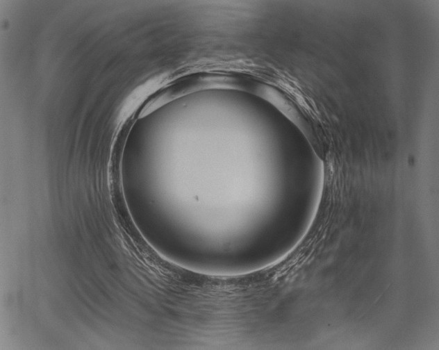 X0000067910340200604131349