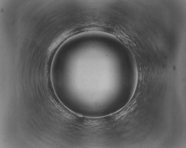 X0000067910341200604131349