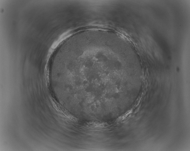 X0000067910343200604131349