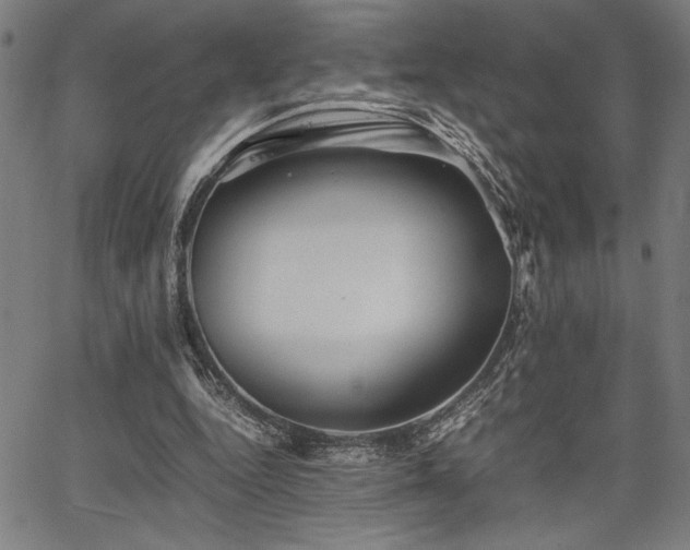 X0000067910344200604131349