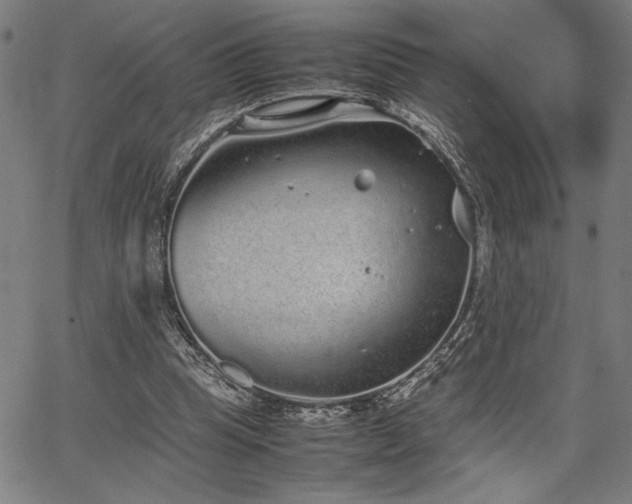 X0000067910345200604131349