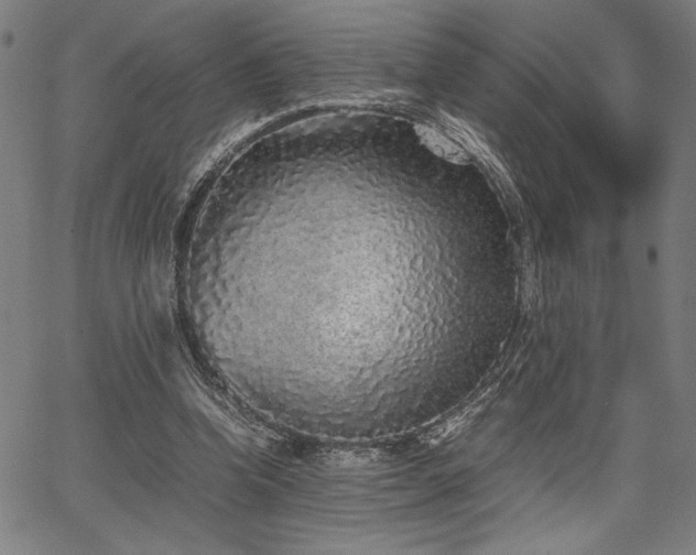 X0000067910346200604131349