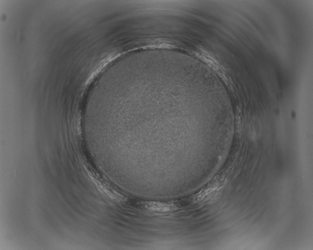 X0000067910347200604131349