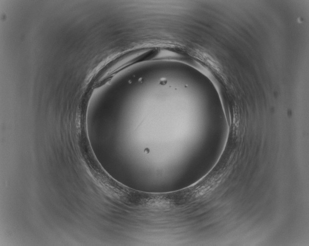 X0000067910348200604131349