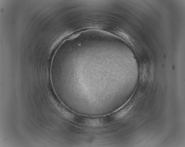 X0000067910349200604131349