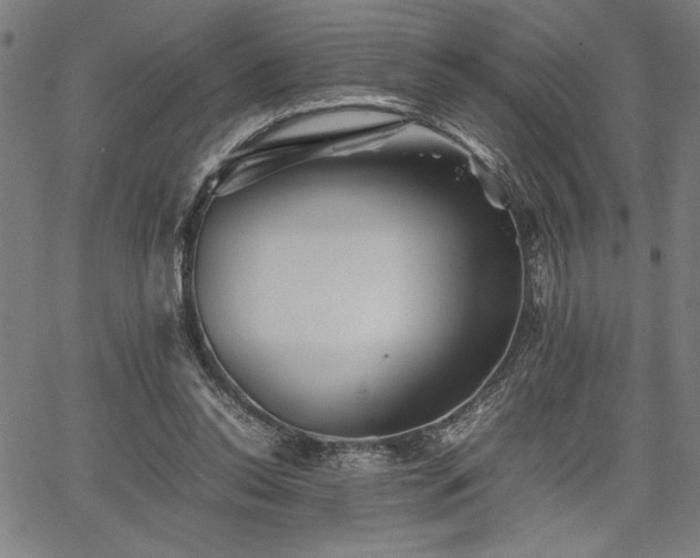 X0000067910350200604131349